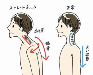 ダウンロード (5)